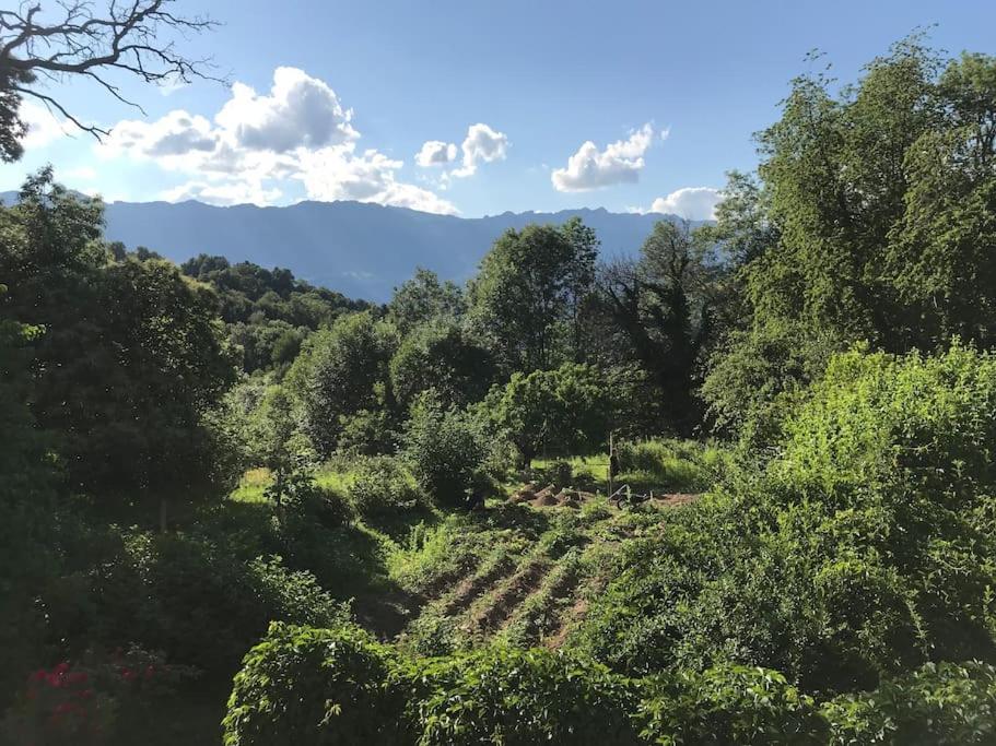 Belladone Guest House Theys Les 7 Laux Zewnętrze zdjęcie