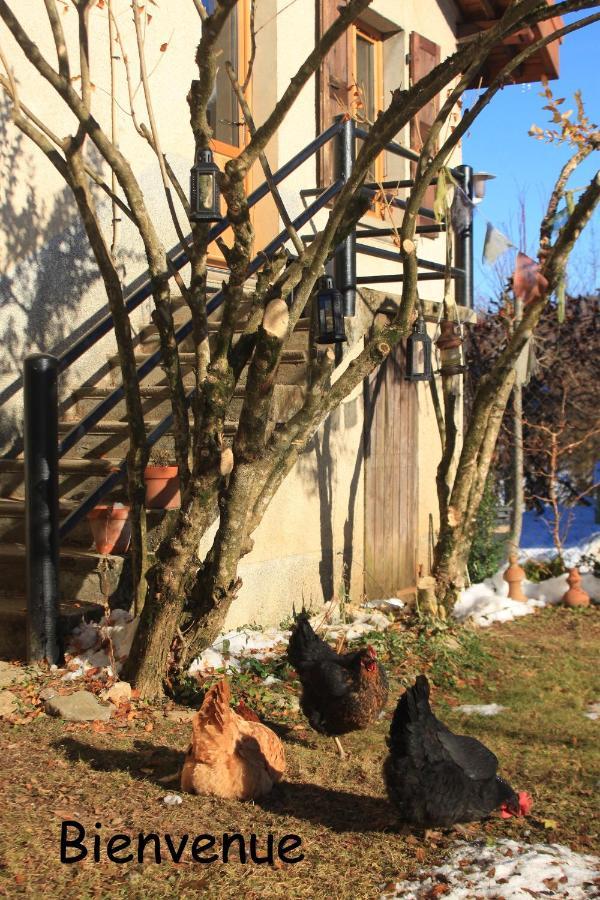 Belladone Guest House Theys Les 7 Laux Zewnętrze zdjęcie